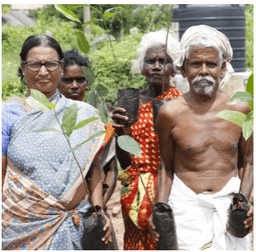 Tree Nation Eco Drive